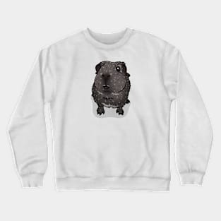 Silver Agouti Guinea Pig Crewneck Sweatshirt